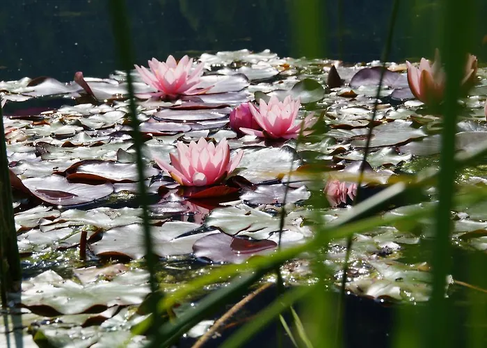 Maison d'hôtes Holzknechthof Am Neustift im Stubaital